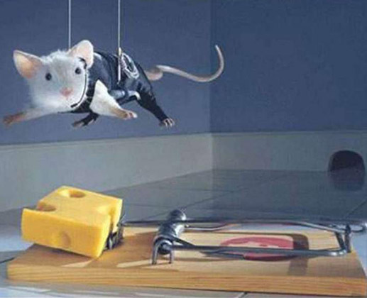 funny picture 101