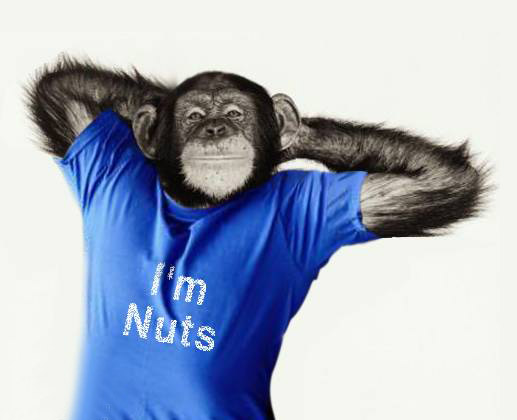 funny picture 112