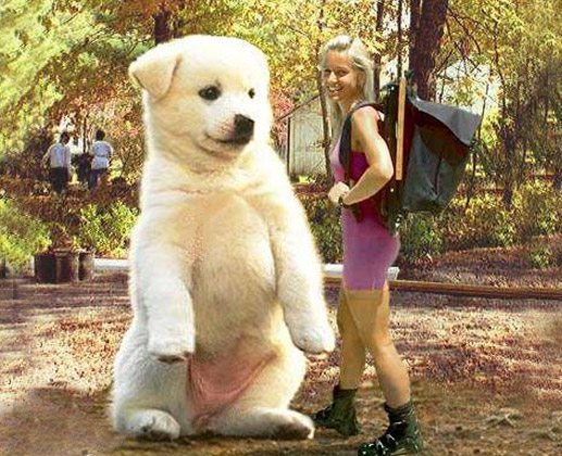 funny picture 119